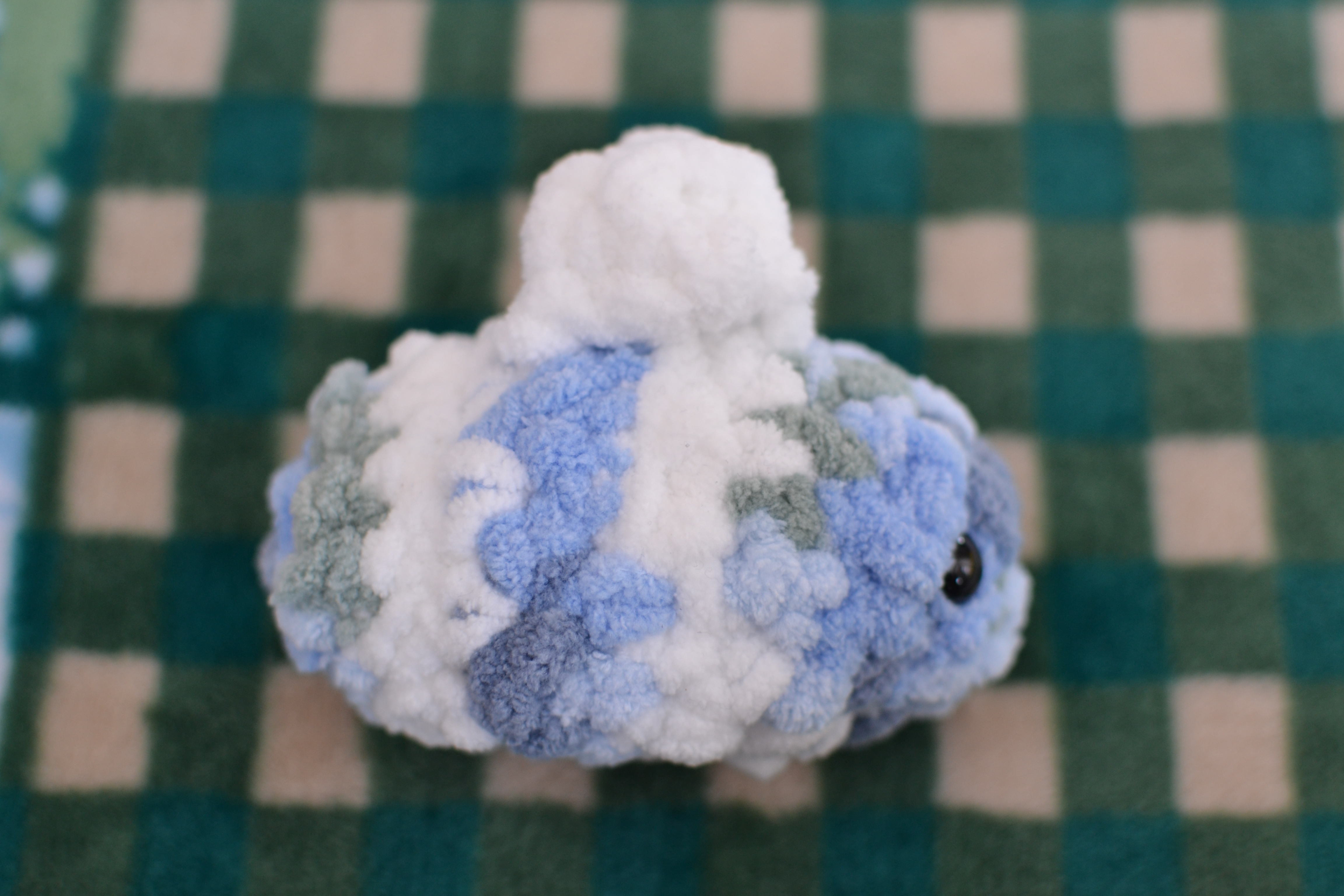 blueberry bee