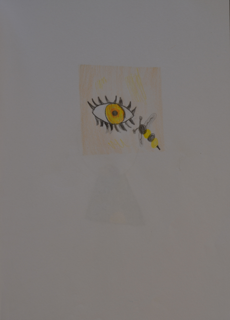eye collection