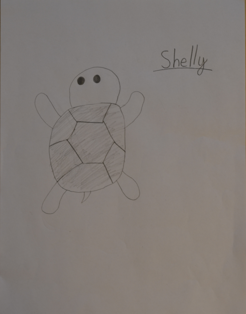 shelly